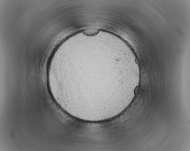 X0000112891088200910021409