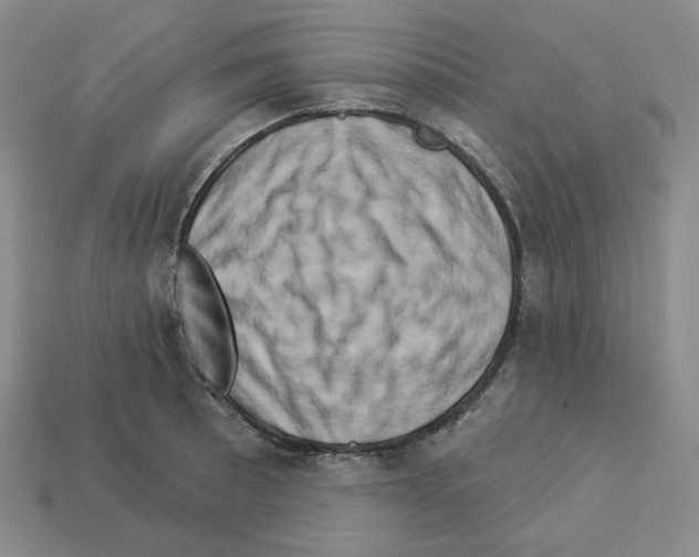 X0000112891089200910021409