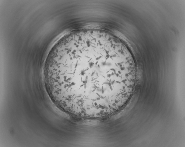 X0000112891090200910021409