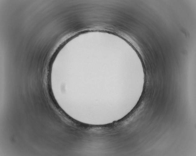 X0000112891093200910021409