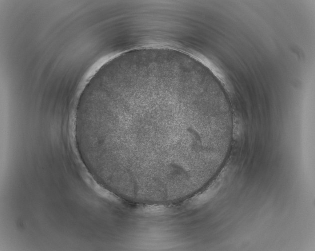 X0000112891094200910021409