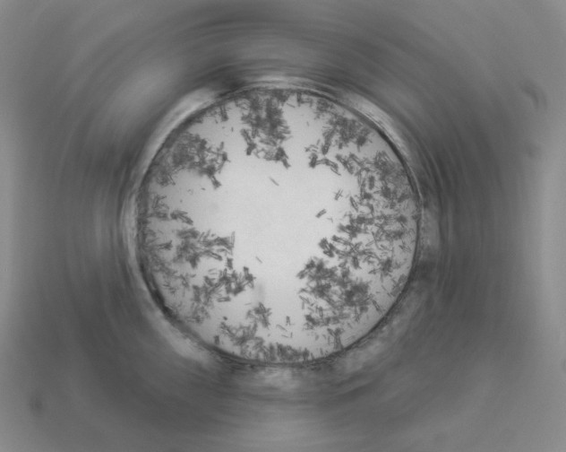 X0000112891098200910021409
