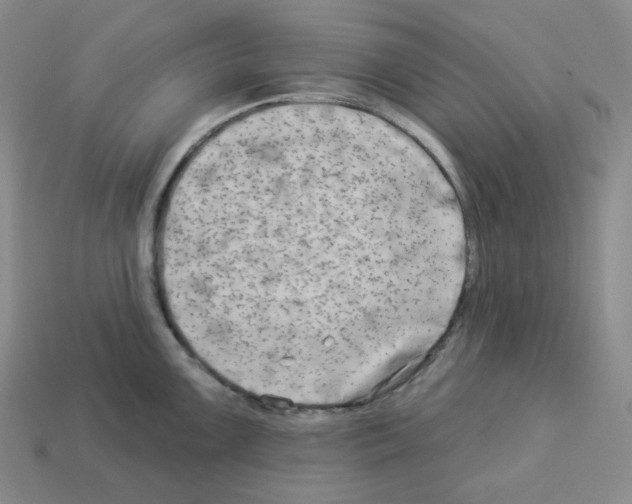 X0000112891099200910021409