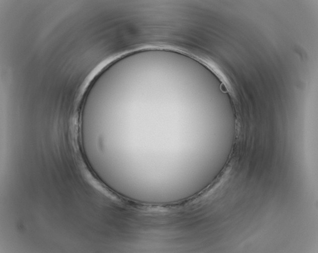 X0000112891100200910021409