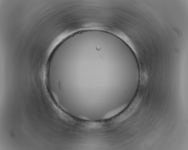 X0000112891101200910021409