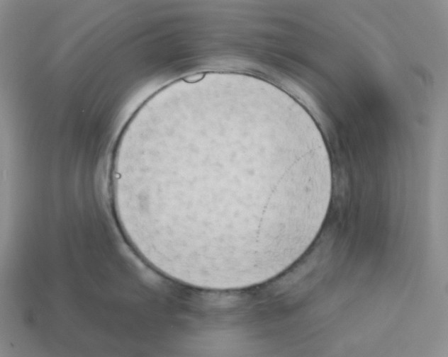 X0000112891103200910021409