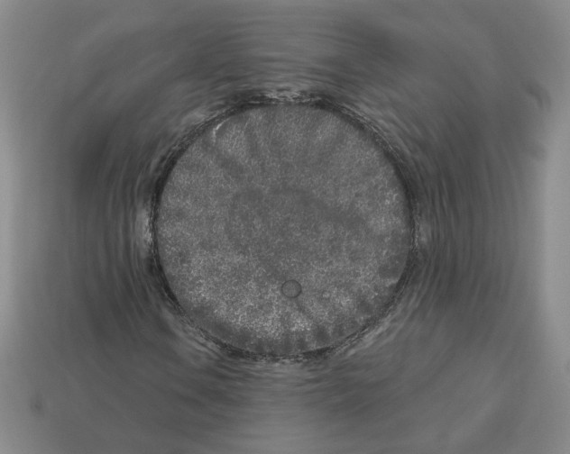 X0000112891106200910021408