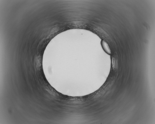 X0000112891107200910021408