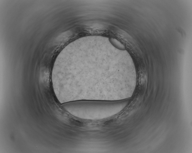 X0000112891108200910021408