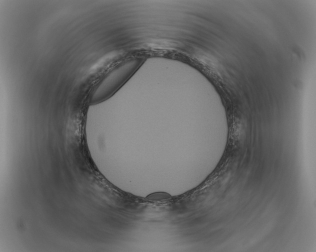 X0000112891110200910021408