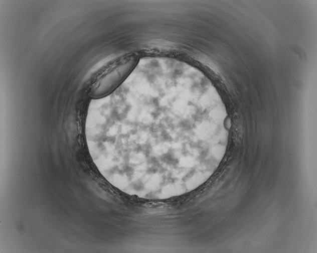 X0000112891112200910021408