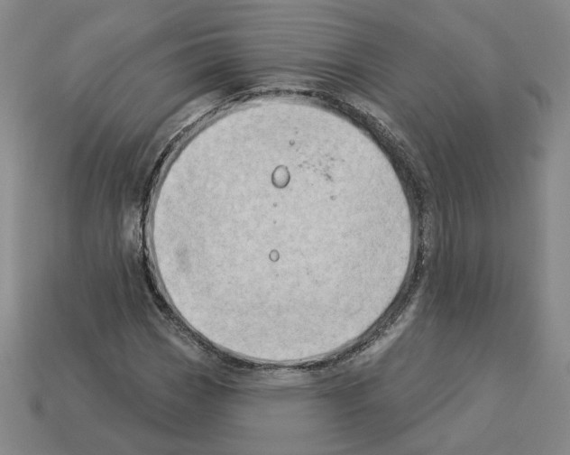 X0000112891113200910021408