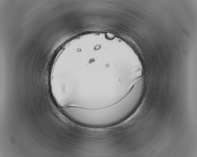 X0000112891114200910021408