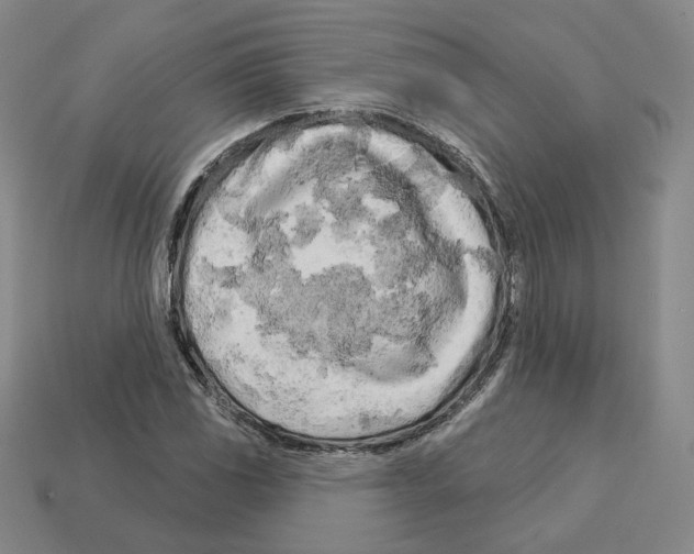 X0000112891117200910021408