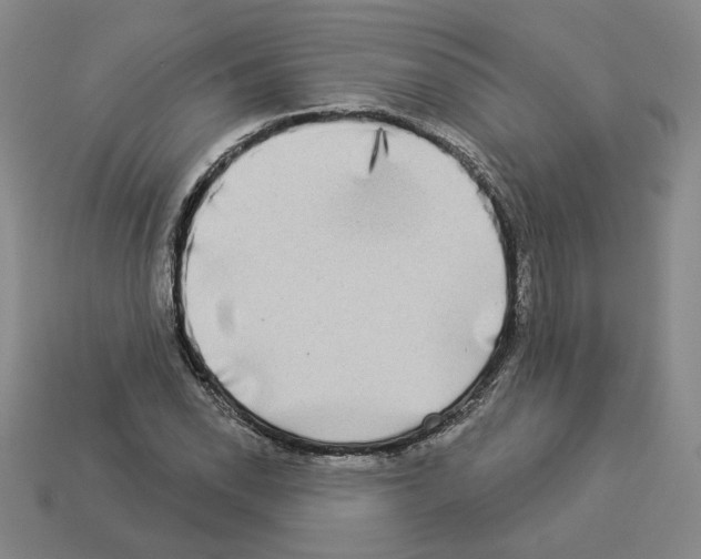 X0000112891118200910021408