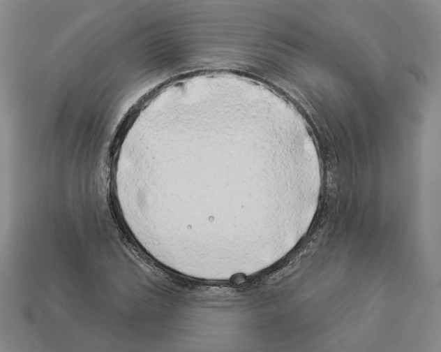 X0000112891119200910021408