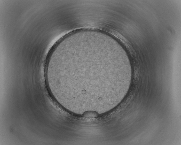 X0000112891120200910021408