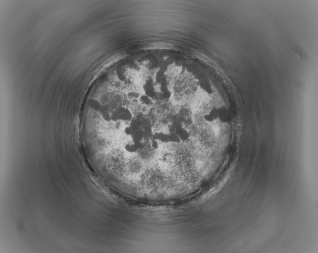 X0000112891121200910021409