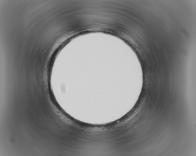 X0000112891122200910021409
