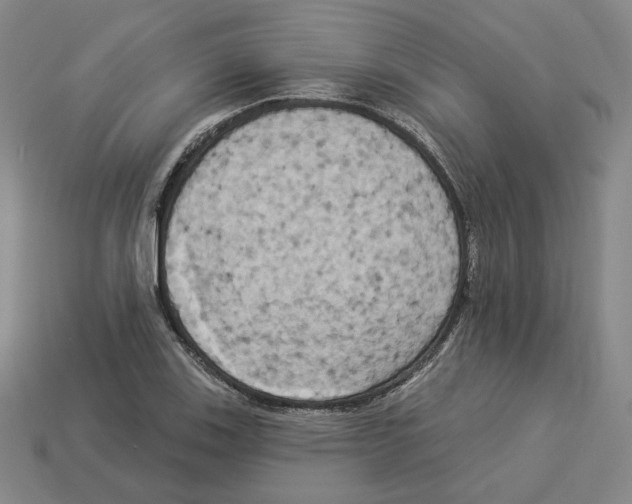 X0000112891123200910021409
