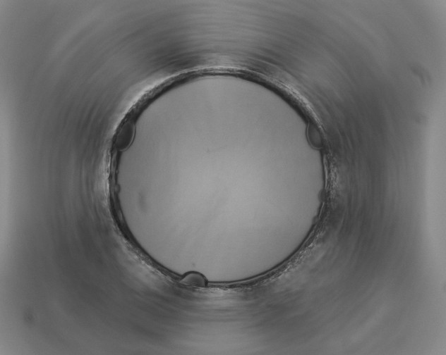 X0000112891124200910021409