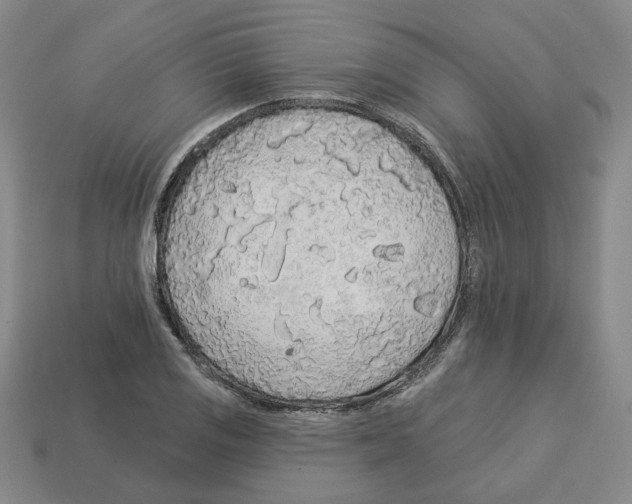 X0000112891125200910021409