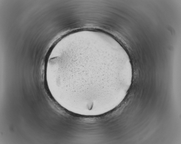 X0000112891126200910021409