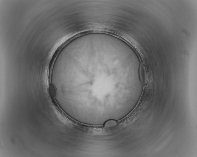 X0000112891128200910021409