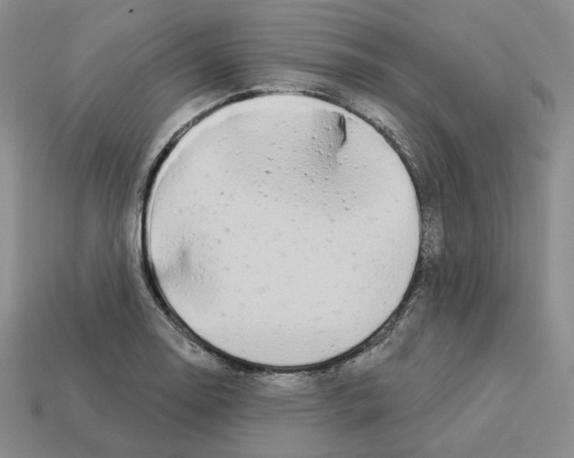 X0000112891130200910021409