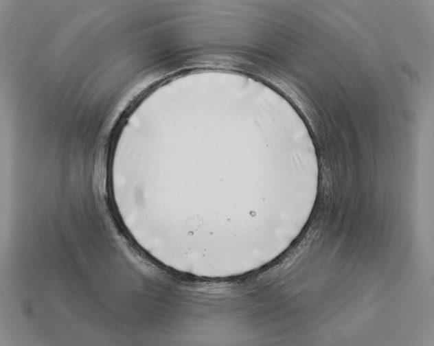 X0000112891131200910021409