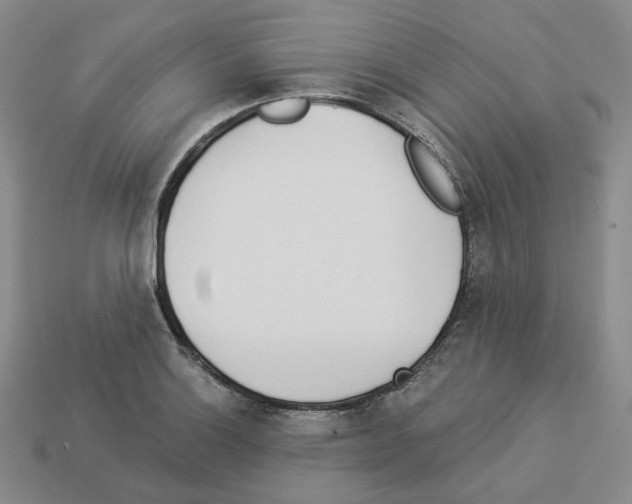 X0000112891132200910021409