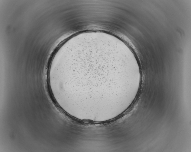 X0000112891133200910021409