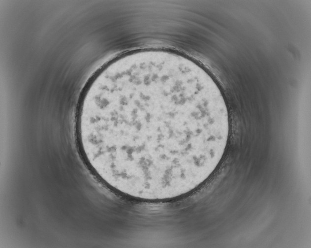 X0000112891134200910021409
