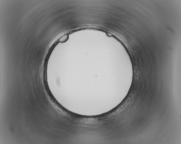 X0000112891135200910021409