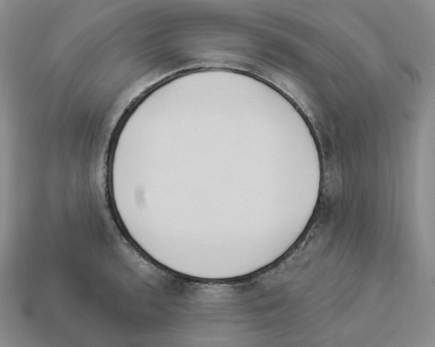 X0000112891136200910021409