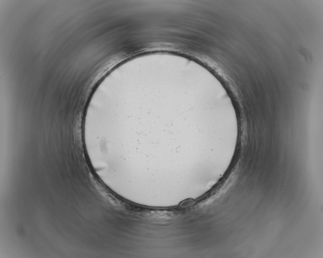 X0000112891137200910021409