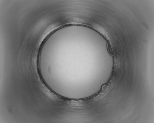 X0000112891138200910021409