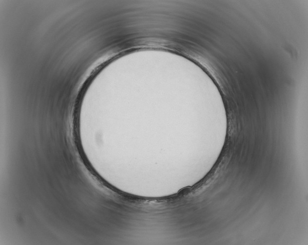 X0000112891139200910021409