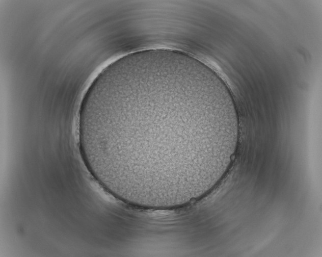X0000112891140200910021409