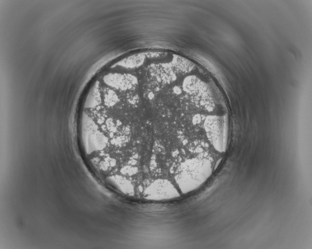 X0000112891141200910021409
