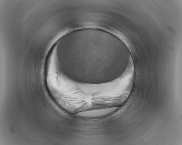 X0000112891142200910021409