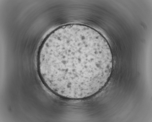 X0000112891143200910021409