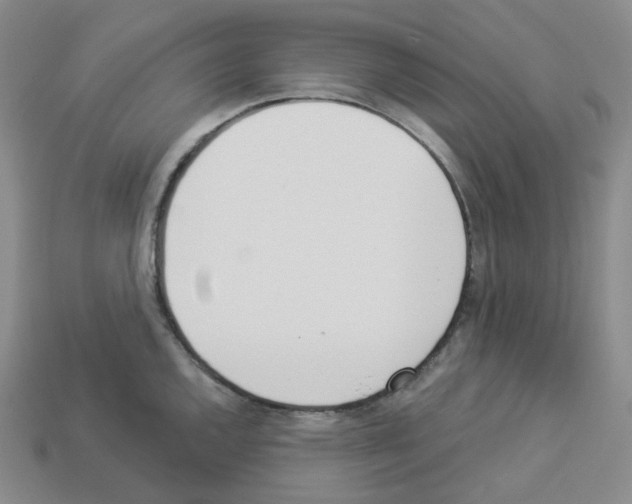 X0000112891144200910021409