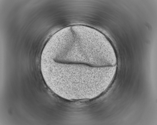 X0000112891145200910021409