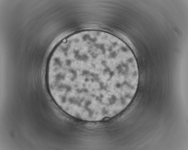 X0000112891146200910021409