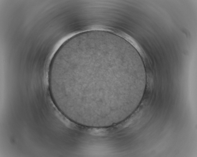 X0000112891148200910021409