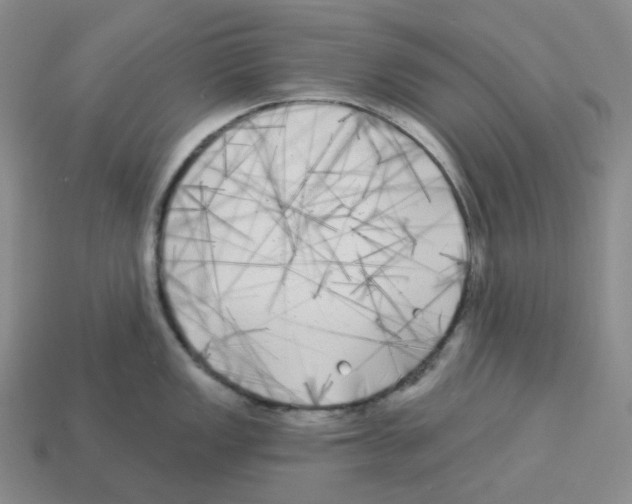 X0000112891149200910021409