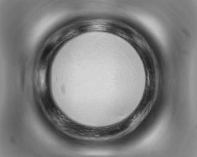 X0000112891150200910021409