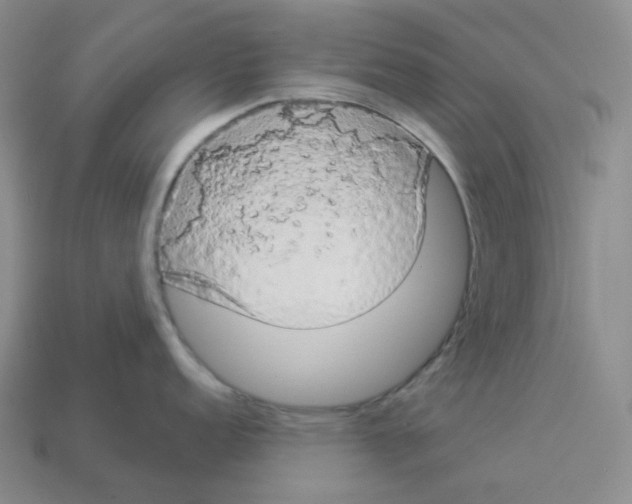 X0000112891152200910021409
