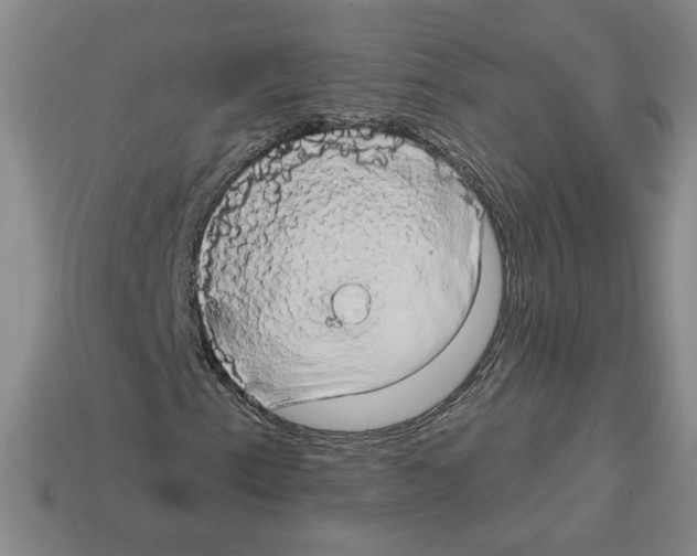 X0000112891153200910021408